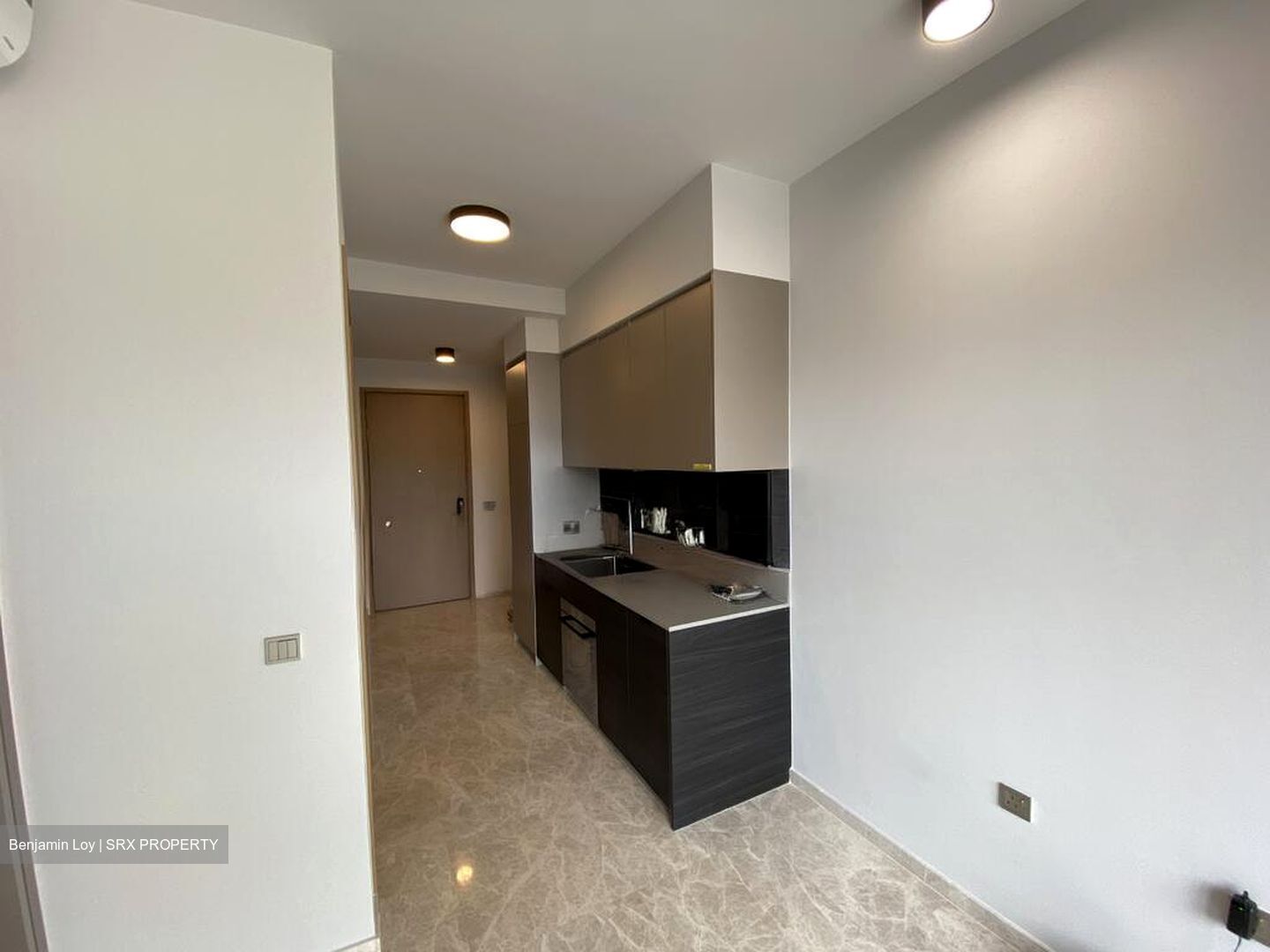 Haus On Handy (D9), Condominium #518974441